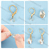 50Pcs 304 Stainless Steel Leverback Earring Findings with Pendant Bails STAS-BBC0001-52G-4
