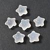 Natural White Chalcedony Beads G-P577-02-1