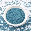 MIYUKI Delica Beads SEED-J020-DB0798-2