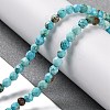 Natural Howlite Beads Strands G-C025-02C-06-2