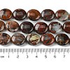 Natural Brecciated Jasper Beads Strands G-K365-B20-03-5