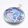 Abalone Shell/Paua Shell Pendants SSHEL-P014-15-01-1