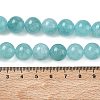 Dyed Natural Malaysia Jade Beads Strands G-G021-01D-08-2