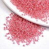 8/0 Glass Seed Beads SEED-A015-3mm-2204-1