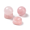 Natural Rose Quartz Display Decorations DJEW-G032-02I-2