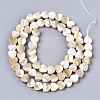 Natural Trochid Shell/Trochus Shell Beads SSHEL-R049-01-2