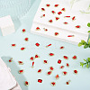 48Pcs 12 Styles Alloy Rhinestone Cabochons MRMJ-TA0001-45B-6