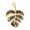 304 Stainless Steel Pave Natural Paua Shell/Abalone Shell Leaf Pendants STAS-S163-23G-1