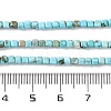 Natural Howlite Beads Strands G-G001-A02-03-5