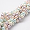Shell Pearl Bead Strands X-BSHE-L017-10-1