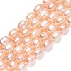 Natural Cultured Freshwater Pearl Beads Strands PEAR-N012-06F-3