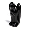 Natural Obsidian Display Decorations G-P449-A03-2