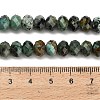 Natural African Turquoise(Jasper) Beads Strands G-Z111-A13-02-6
