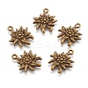 Tibetan Style Alloy Pendants LS-TIBEP-A113357-AB-FF-1