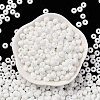 Baking Paint Glass Seed Beads SEED-C003-02K-2