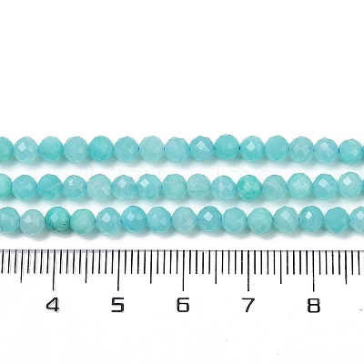Natural Amazonite Beads Strands LS-G-I379-A02-02-1
