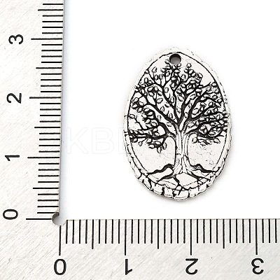 Tibetan Style Alloy Pendants LS-FIND-A053-05C-AS-1