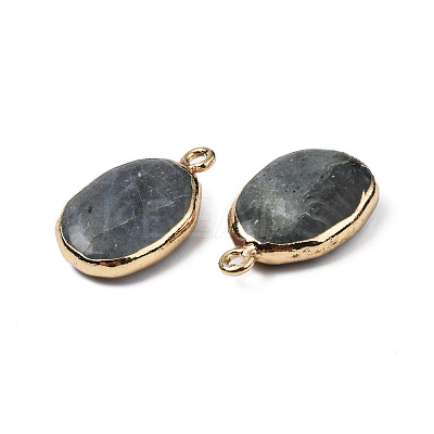 Natural Labradorite Pendants G-N326-130-05-1