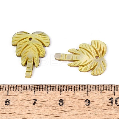 Natural Freshwater Shell Carved Pendants SHEL-N038-23E-1