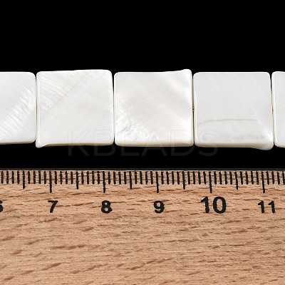 Natural Freshwater Shell Beads Strands SHEL-A006-10A-1