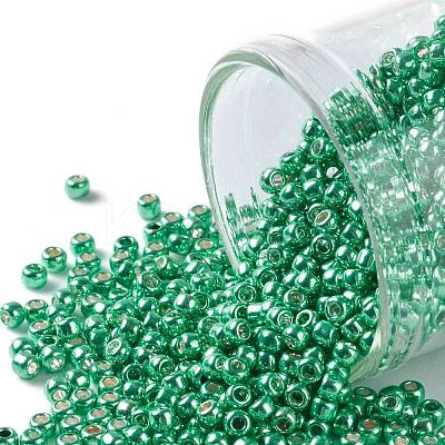 TOHO 11/0 Round Beads X-SEED-TR11-0561-1