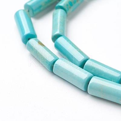 Natural Magnesite Bead Strands TURQ-E024-01A-1