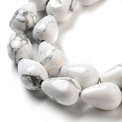 Natural Howlite Beads Strands G-B106-A26-02-1