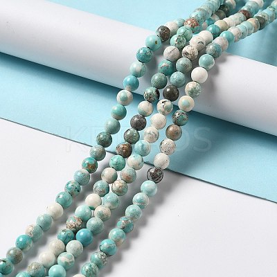Natural Magnesite Beads Strands G-L555-02B-02-1
