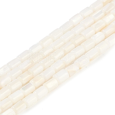 Natural Freshwater Shell Beads Strands BSHE-H109-17A-1