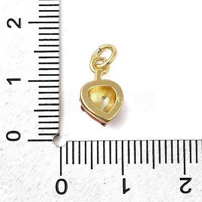 Brass Enamel Charms KK-P303-06D-G-1