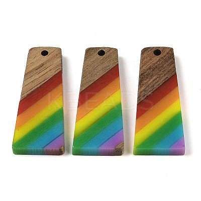 Pride Rainbow Theme Resin & Walnut Wood Pendants WOOD-K012-10B-1