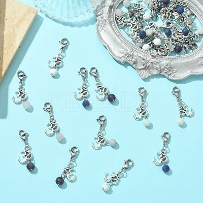 Natural Gemstone Pendants HJEW-SC0001-12-1