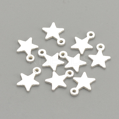 925 Sterling Silver Charms STER-S002-30-1