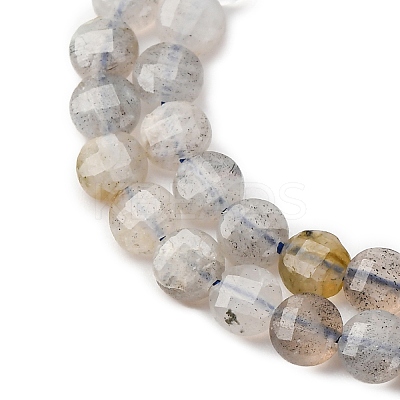 Natural Labradorite Beads Strands G-RM2025-A28-1