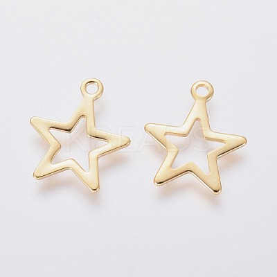 304 Stainless Steel Charms STAS-L234-095G-1