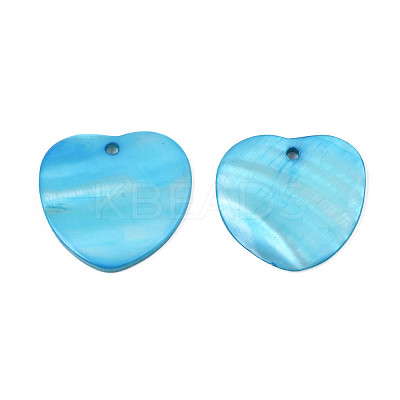 Natural Freshwater Shell Pendants SHEL-N026-176A-1