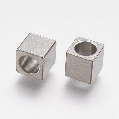Tarnish Resistant 304 Stainless Steel European Beads STAS-F195-106P-1