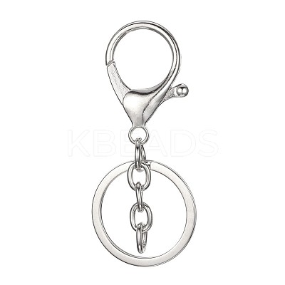 Alloy Key Clasps KEYC-D059-1