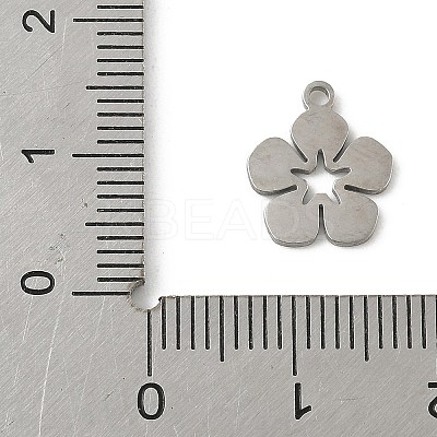 304 Stainless Steel Charms STAS-G355-15P-1