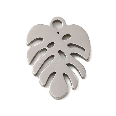 Non-Tarnish 304 Stainless Steel Charms STAS-S123-01P-06-1