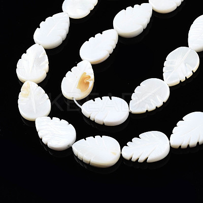 Natural Freshwater Shell Beads Strands SHEL-Q024-004-1