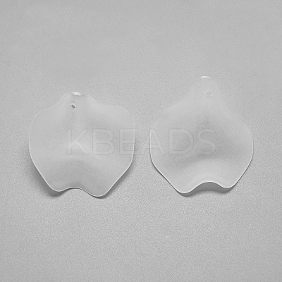 Transparent Acrylic Pendants X-FACR-S031-26mm-SB518-1
