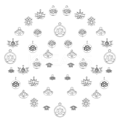 Tibetan Style Alloy Pendants & Links Connectors & Beads TIBEP-SC0001-53AS-1
