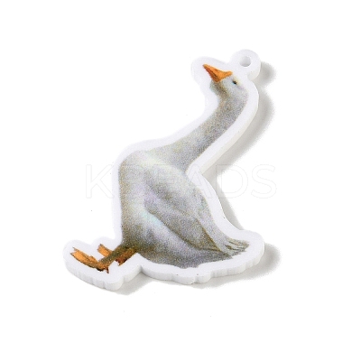 Opaque Printed Acrylic Pendants SACR-F018-01B-1