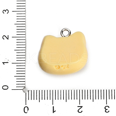 Printed Opaque Resin Pendants RE-CBA08CD-02C-1