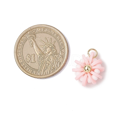 Handmade Polymer Clay & Glass Seed & Brass Pendants PALLOY-MZ00840-04-1