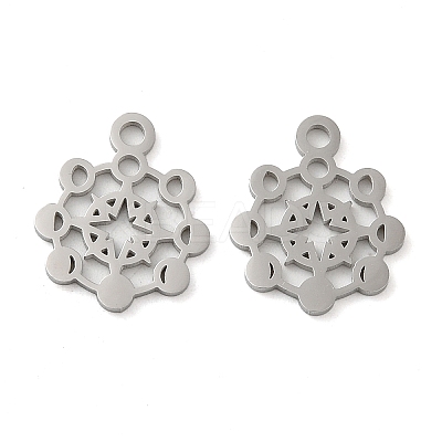 Non-Tarnish 304 Stainless Steel Charms STAS-J042-02P-1