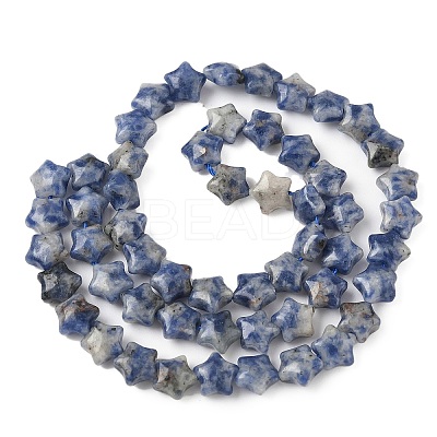 Natural Blue Spot Jasper Star Beads Strands G-Z080-A06-1