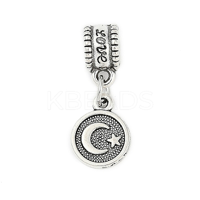 Rack Plating Brass European Dangle Charms LS-KK-R200-14AS-1