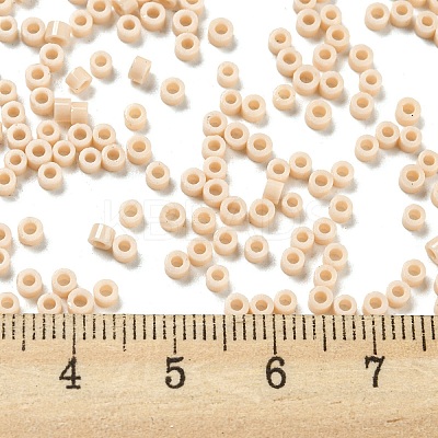 Opaque Colours Glass Seed Beads SEED-S042-09A-03-1